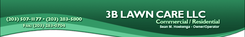 3B Lawn Care, LLC - Commercial/Residential - Sean M. Hoekenga, Owner/Operator