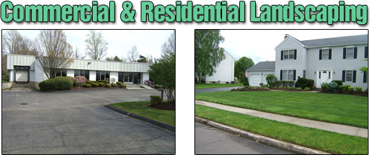 Commercial and Residential Landscaping